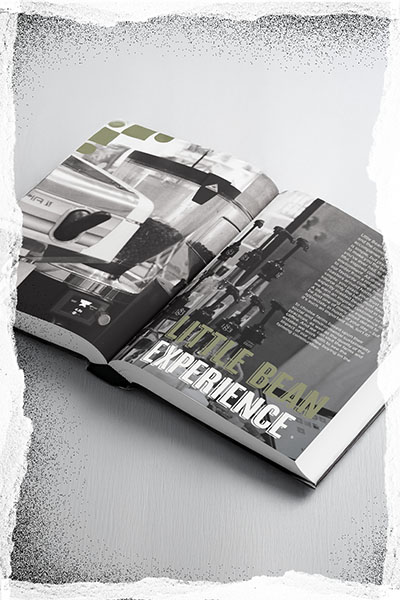 open page spread of an annual report