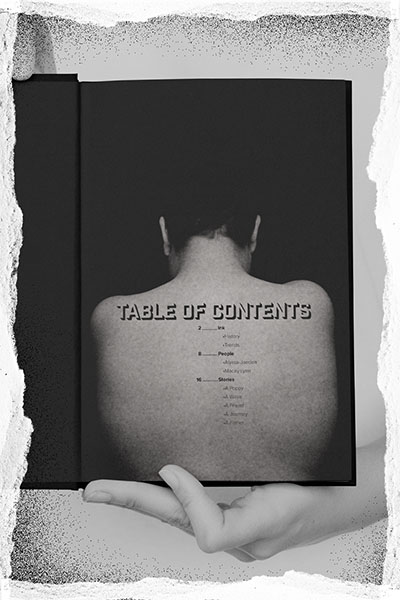 open book table of contents page